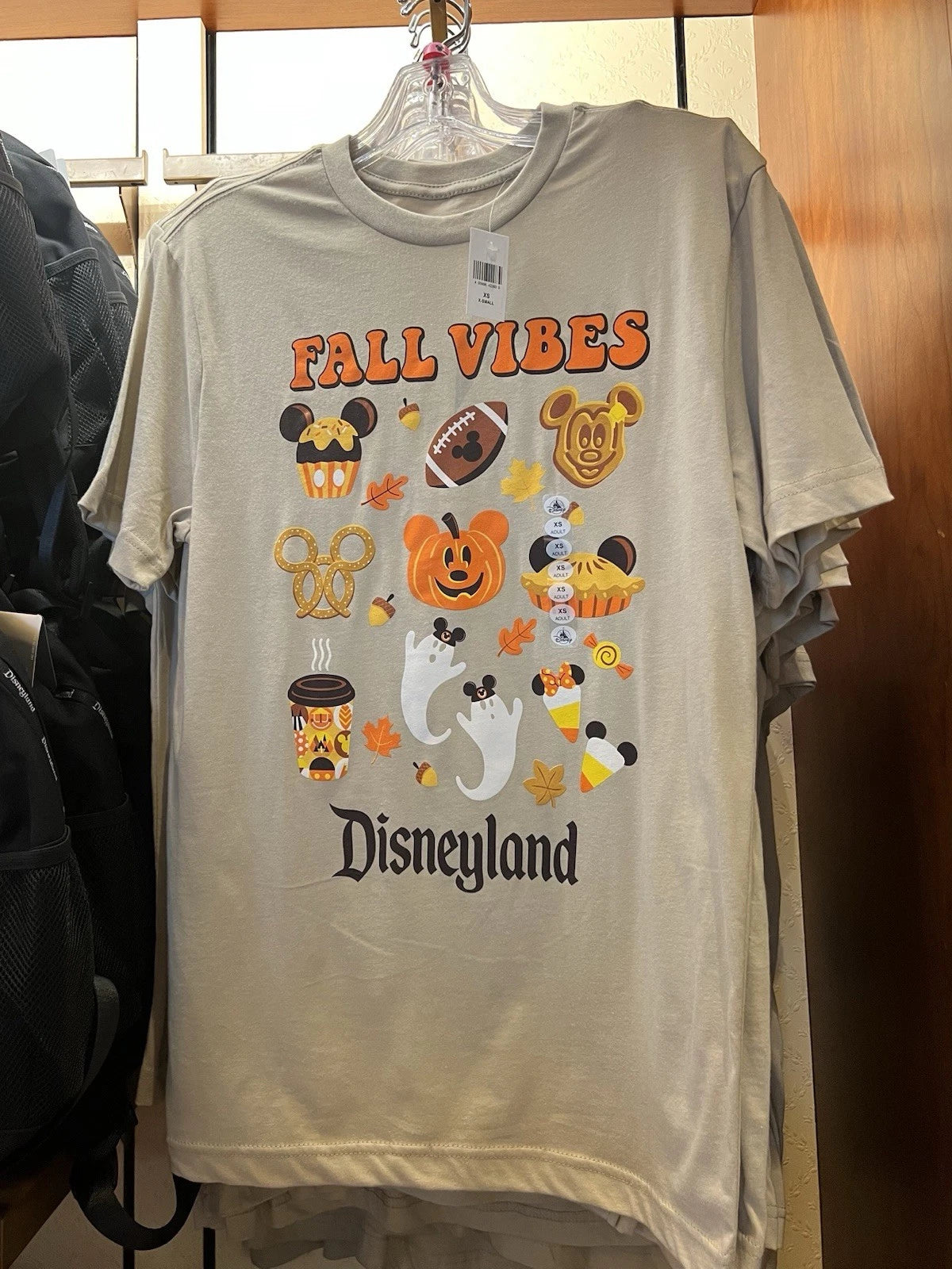 Size Large   Disneyland 2025 Fall Vibes Halloween T shirt