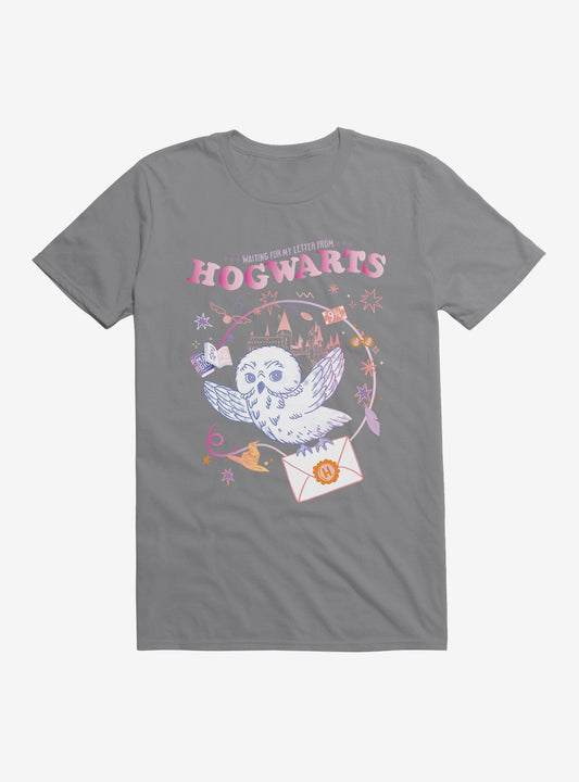 Harry Potter Hedwig Letter From Hogwarts TShirt T-Shirt | High-Quality Print | Perfect Holiday Gift