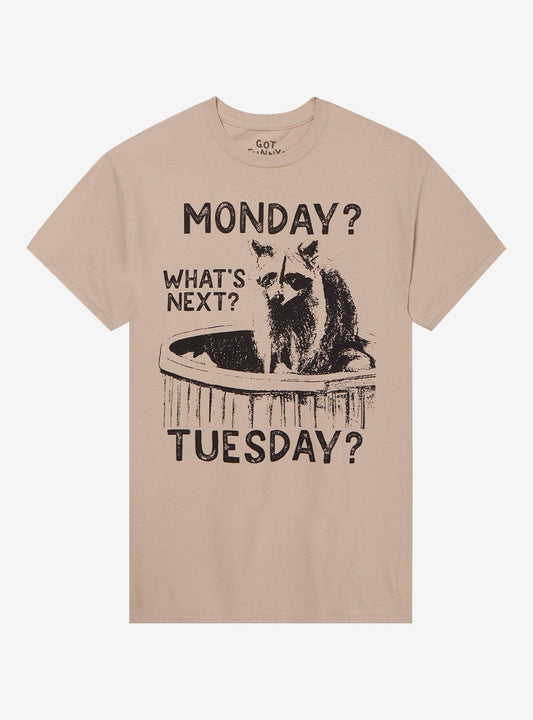 Raccoon Days Of The Week TShirt By Got Funny Graphic Tee | Graphic Tee | Unisex Shirt | Best-Selling Design
