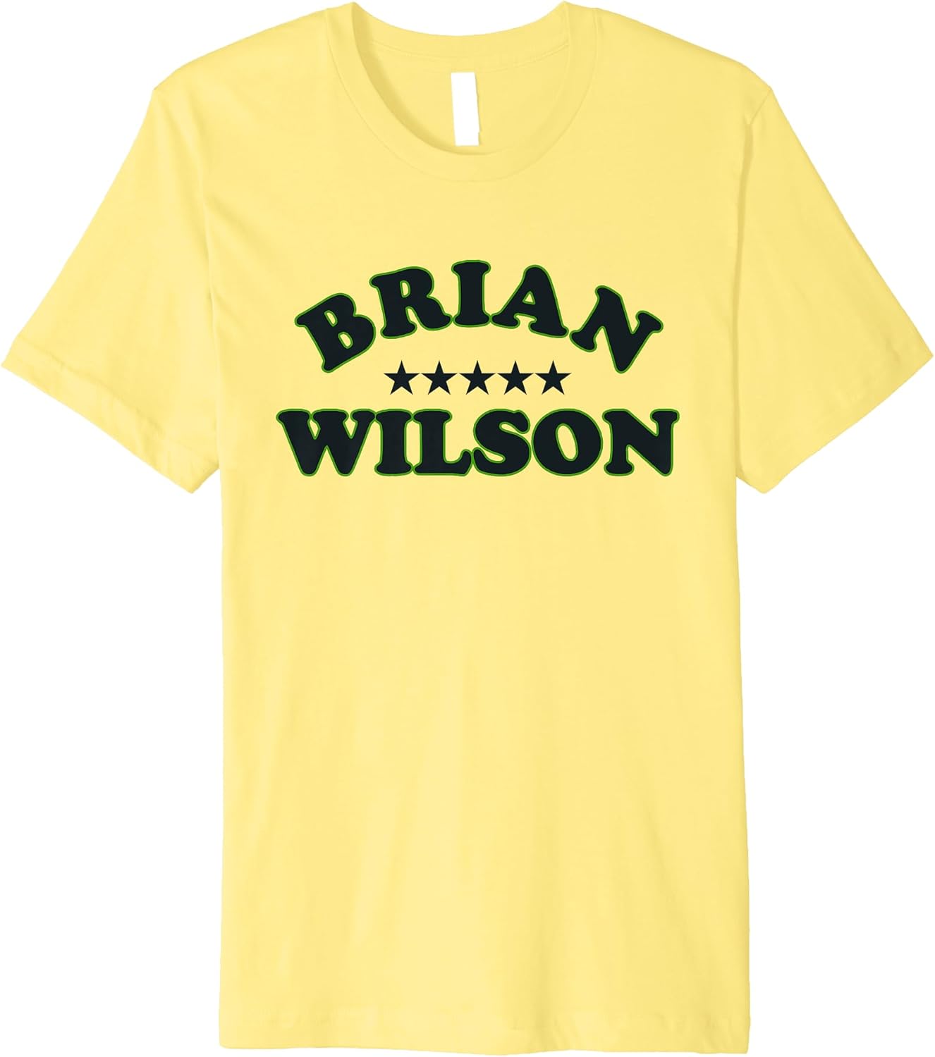 Brian Wilson Summer Tour 22 Premium T Shirt