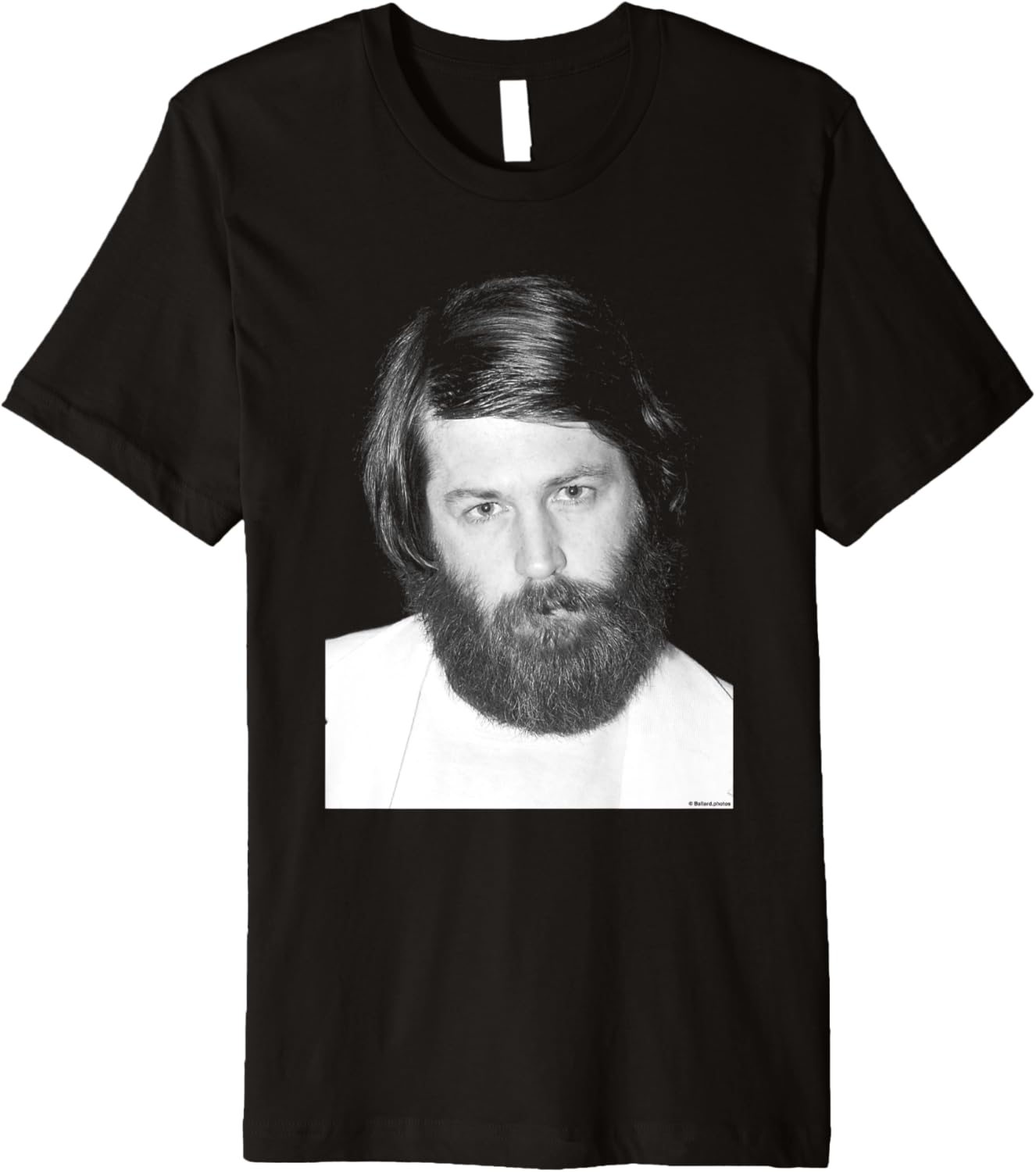 The Beach Boys Singer Brian Wilson By Allan Ballard Premium
