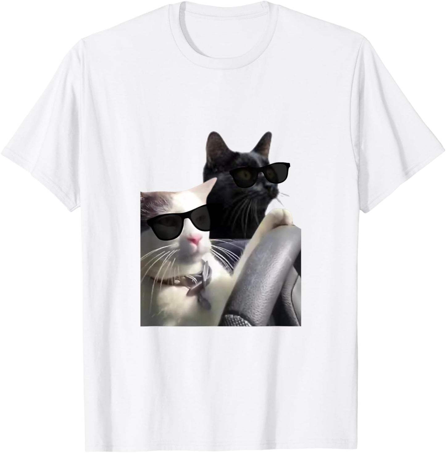 Funny Cats Driving A Car