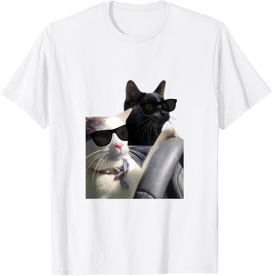 Funny Cats Driving A Car