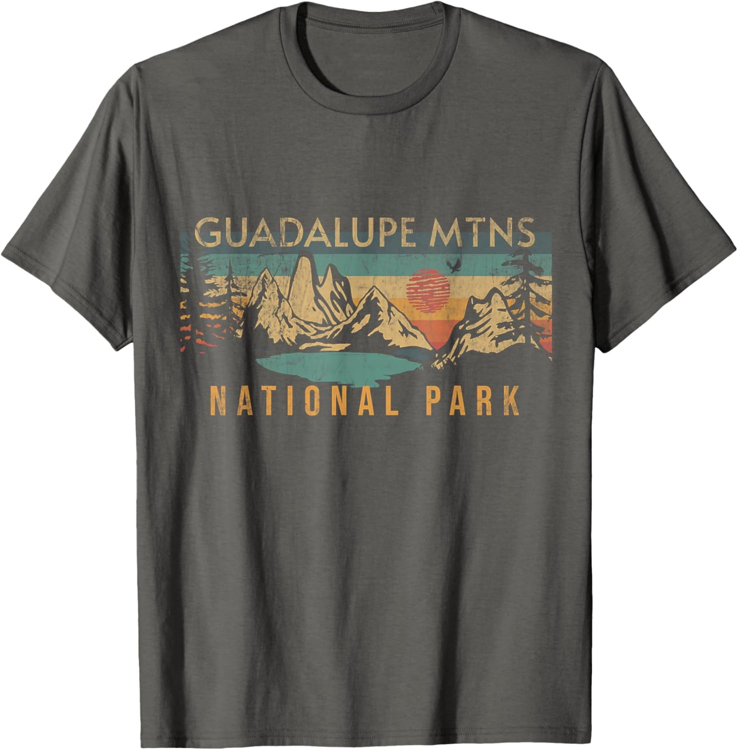 Guadalupe Mountains National Park Retro T Shirt Grey Unisex Kids Small