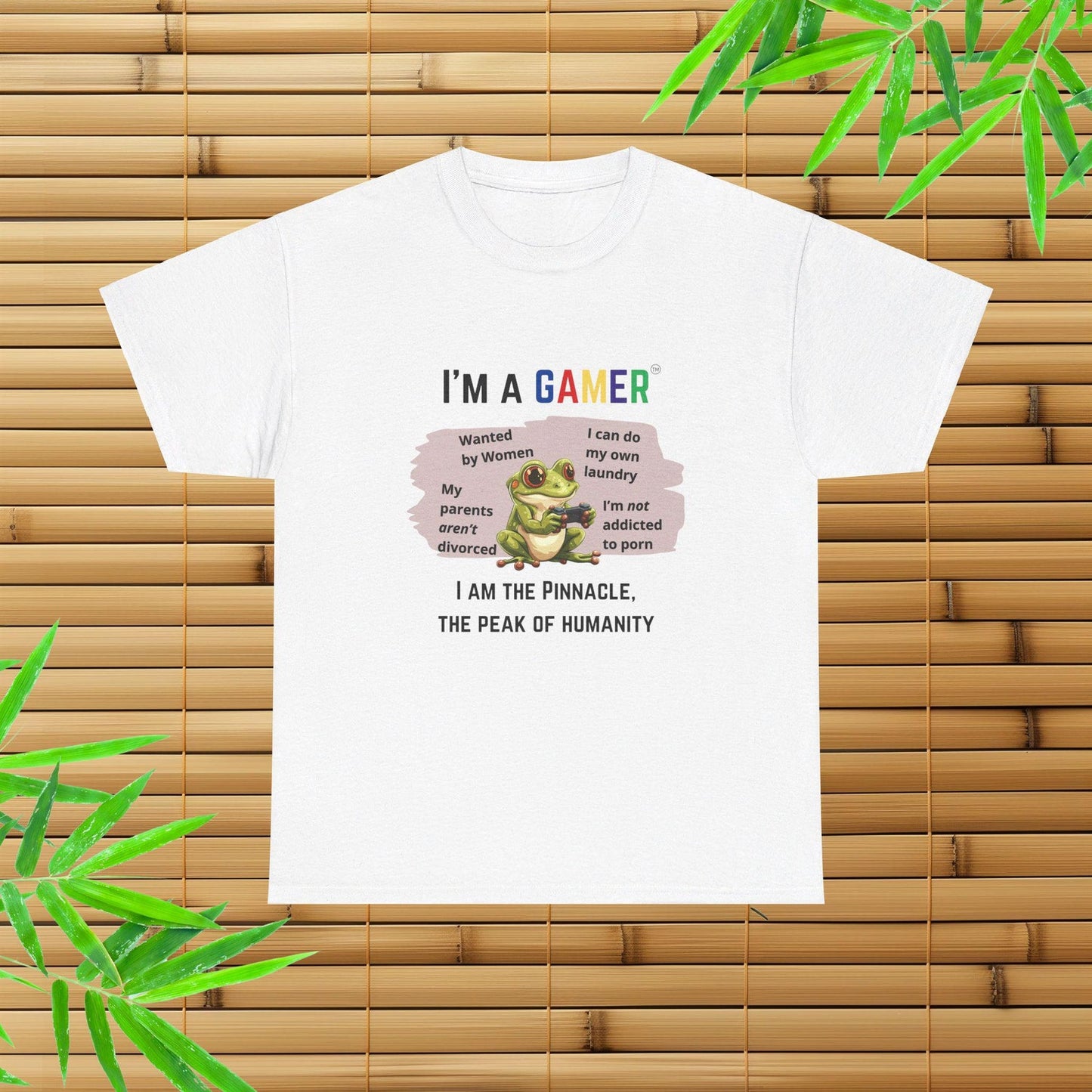 I'm a Gamer T-Shirt, Funny Gaming T-Shirt, Ironic Tee, Gift for Boyfriend