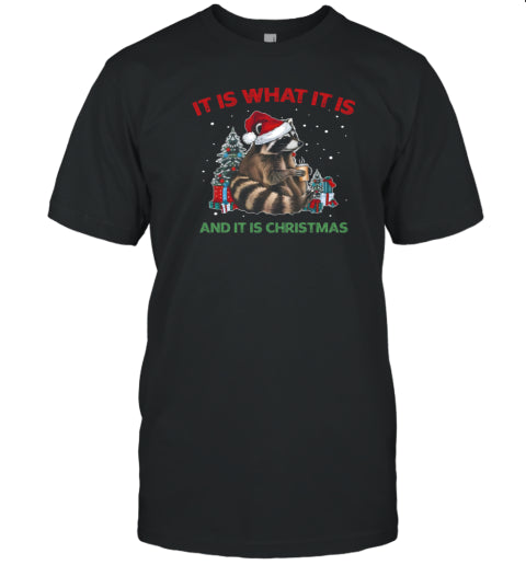 It Is What It Is And It Is Christmas Racoon Quote Essential T Shirt