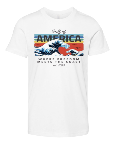 Defiantls Gulf Of America Where Freedom Meets The Coast Premium Youth T Shirt