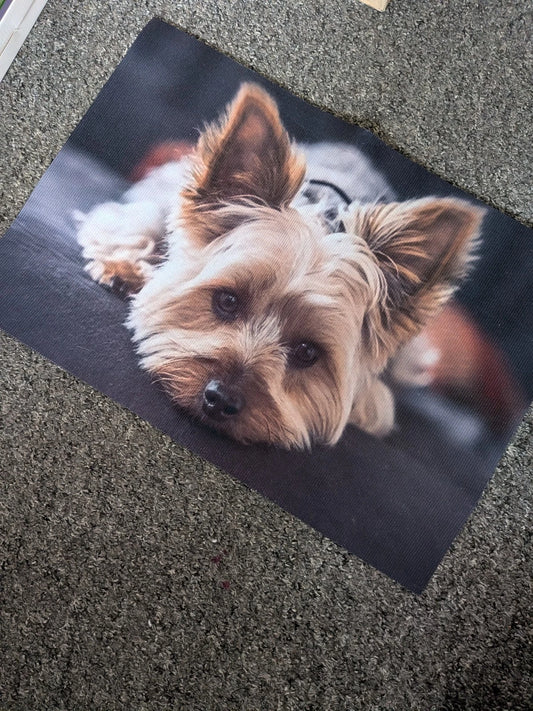 Funny Yorkie Dog Doormat ‚Äì 40cm X 60cm ‚Äì Welcome Mat For Pet Lovers