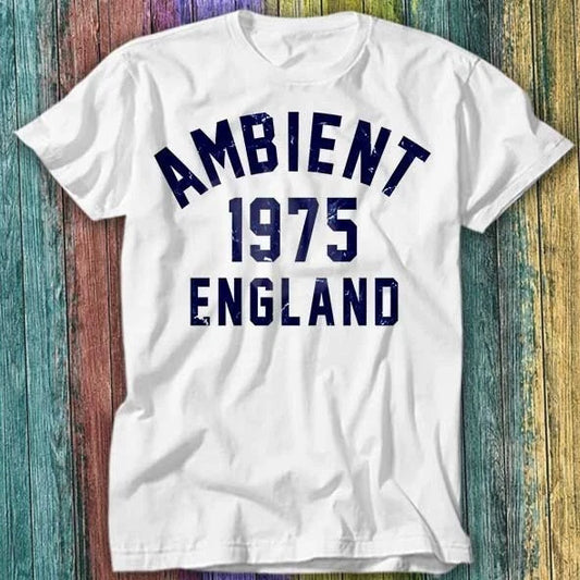 Ambient Music 1975 Brian Eno The Orb Synthesizer T Shirt Top Tee 372