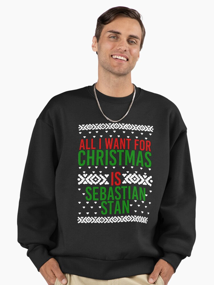 All I Want For Christmas (Sebastian Stan) Premium Oversized Sweatshirt